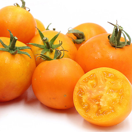 Heirloom Hybrid (Orange) Tomato Plant