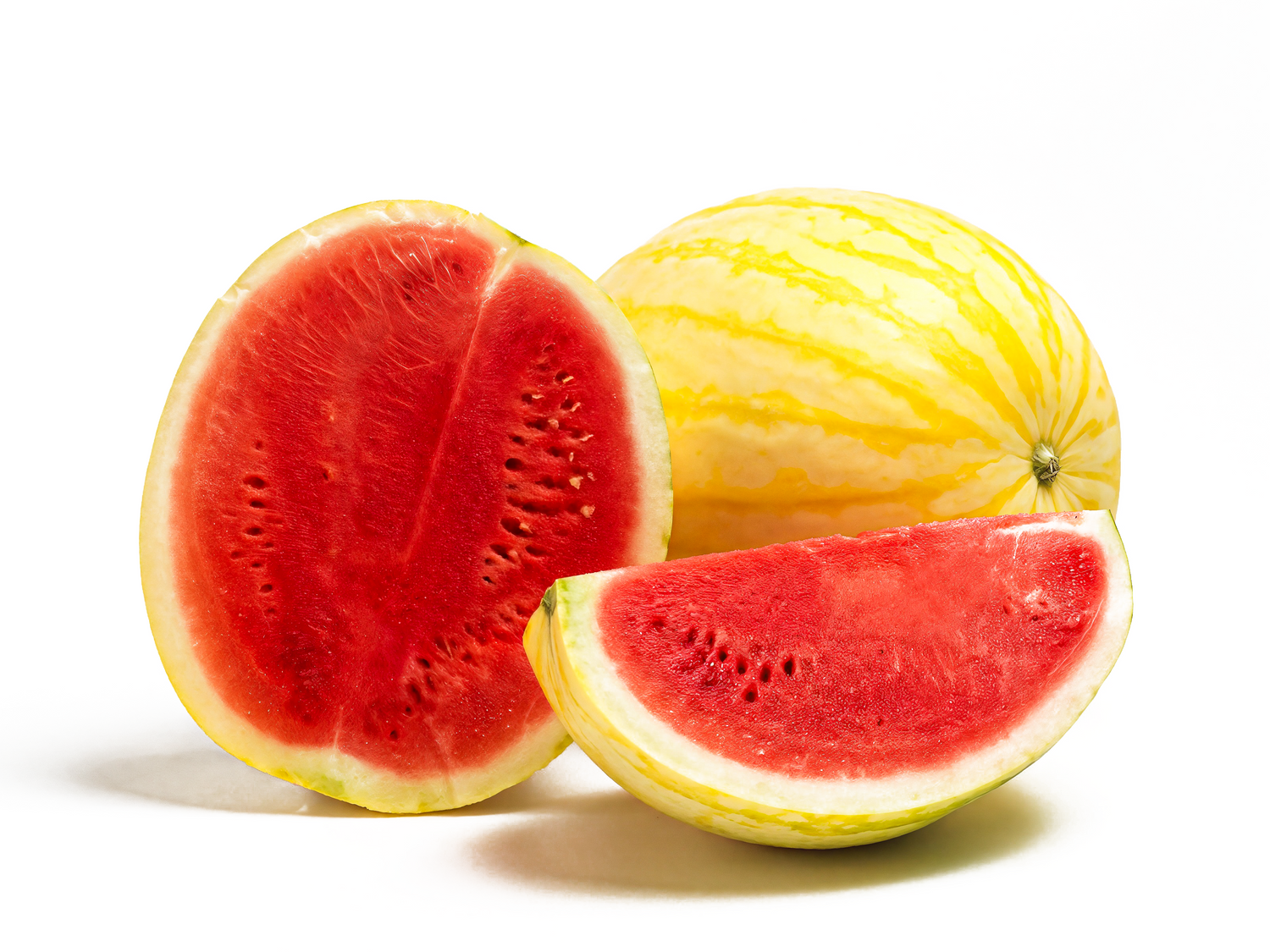 Tropical Apollo (Seedless) Watermelon Plant + 2 Free Pollinator Plants