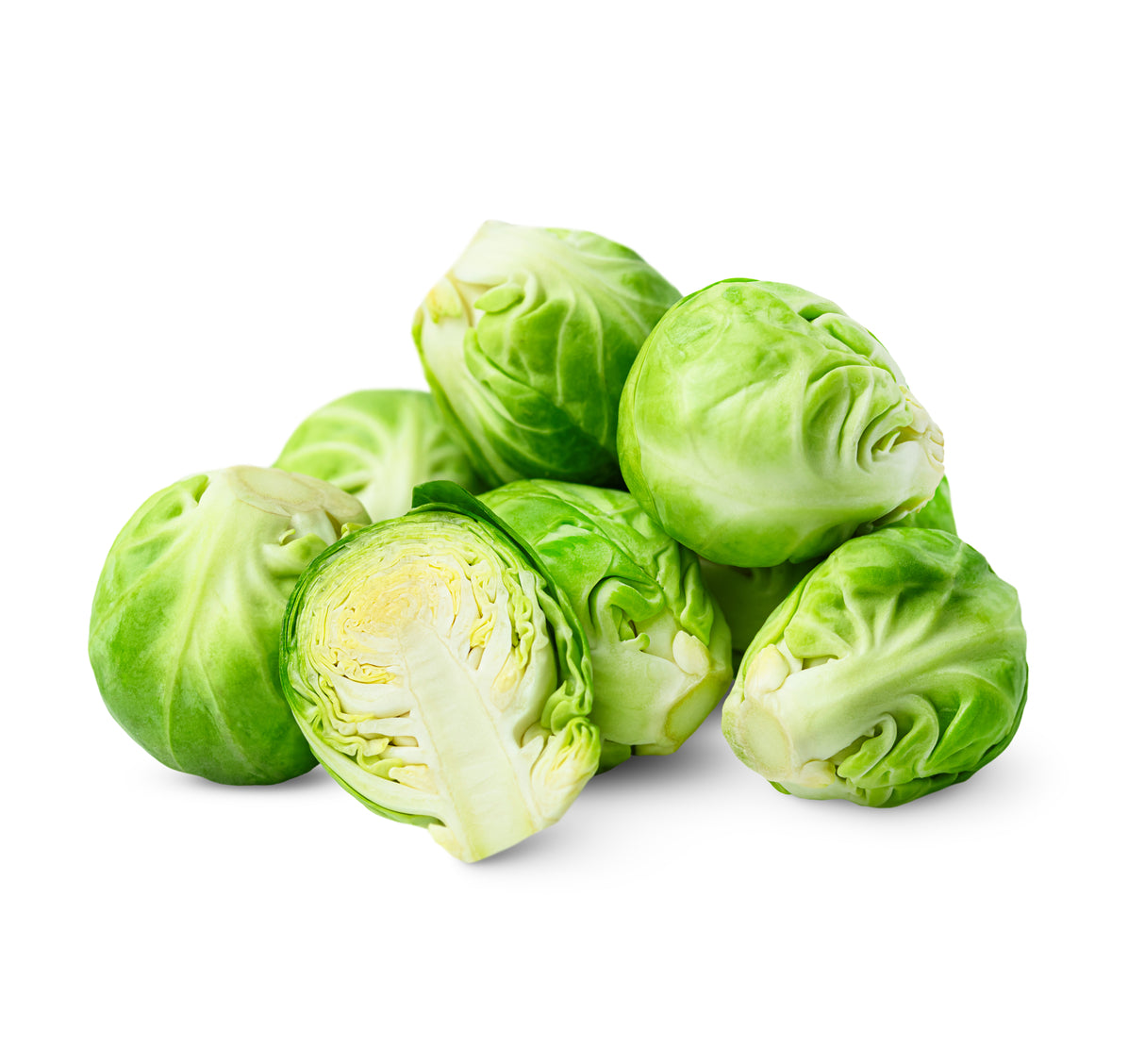 Brussels Sprouts Plants