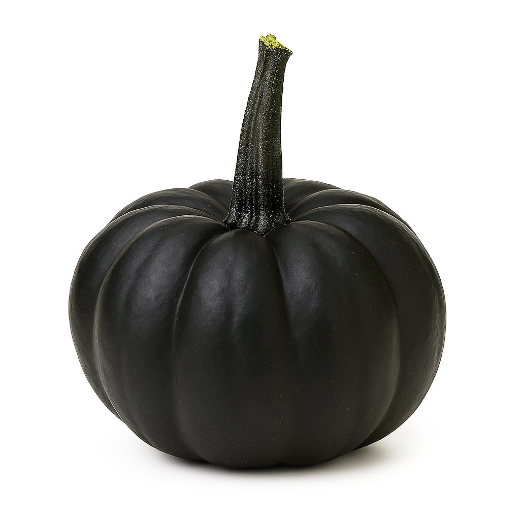 Midnight Pumpkin 😈