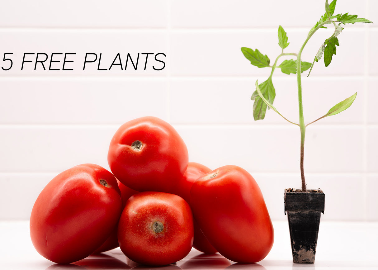 20 Plant Heirloom Hybrid Bundle + 5 Free