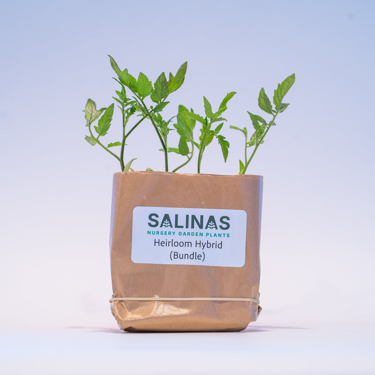 20 Plant Heirloom Hybrid Bundle + 5 Free