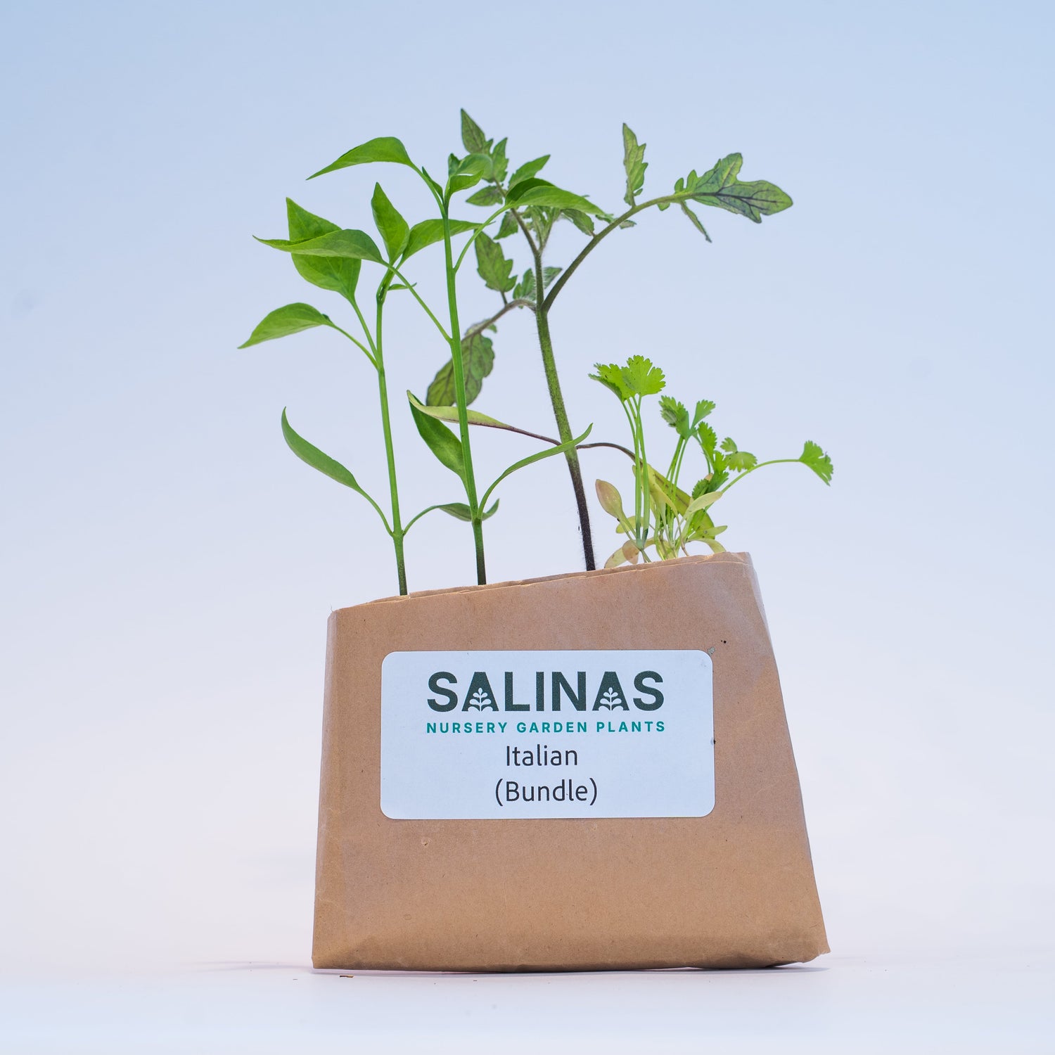 Italian Pack (Peppers, Tomatoes & Herbs)