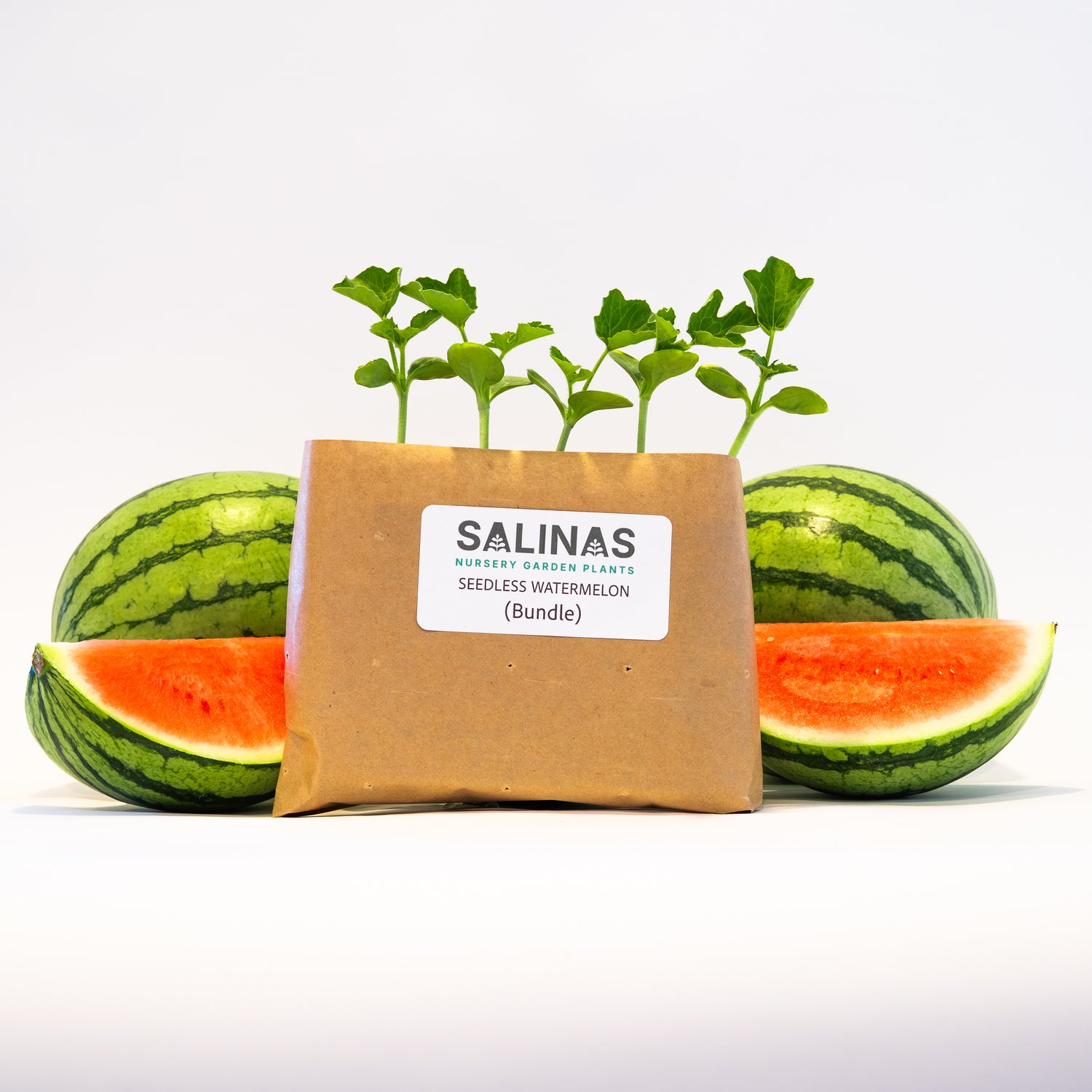 Seedless Watermelon (Bundle)