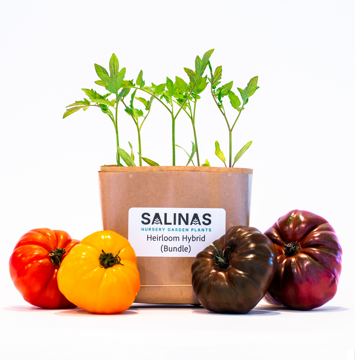 20 Plant Heirloom Hybrid Bundle + 5 Free