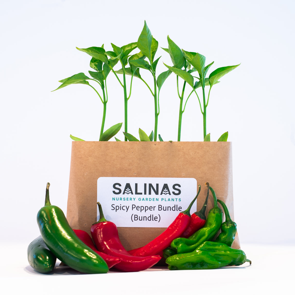 20 Plant Spicy Pepper Bundle 🔥