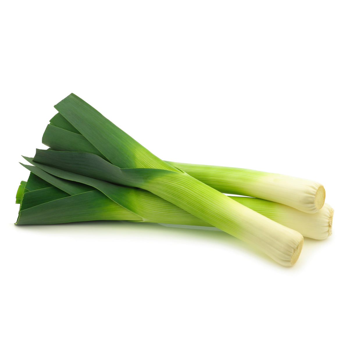 Leek Plants
