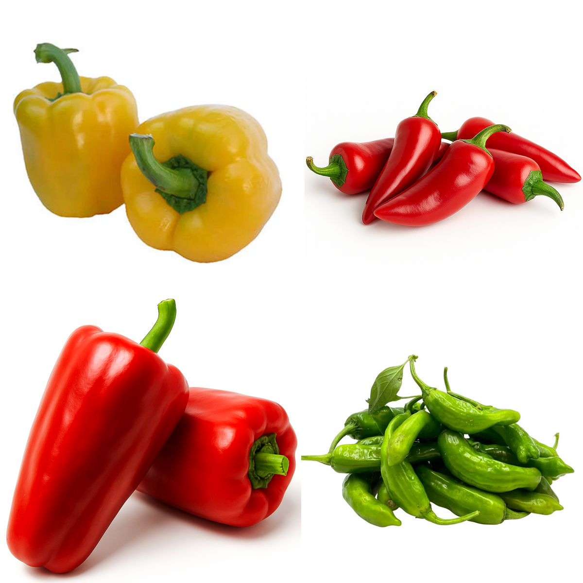 25 Plant Spicy Pepper Bundle 🔥 - Salinas Nursery Garden Plants