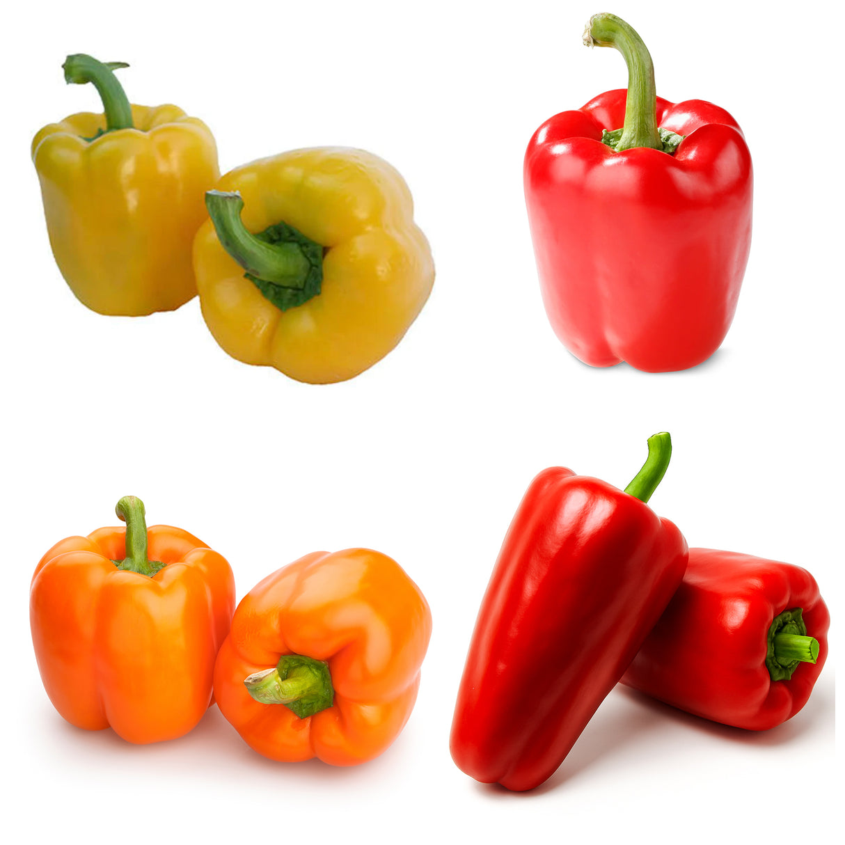 20 Plant Spring Pepper Bundle + 5 Free