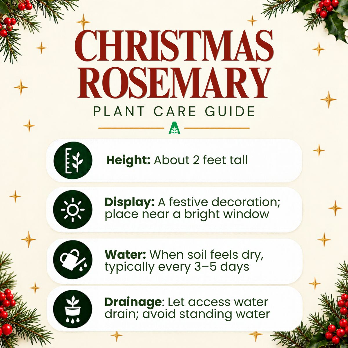 Rosemary Christmas Tree