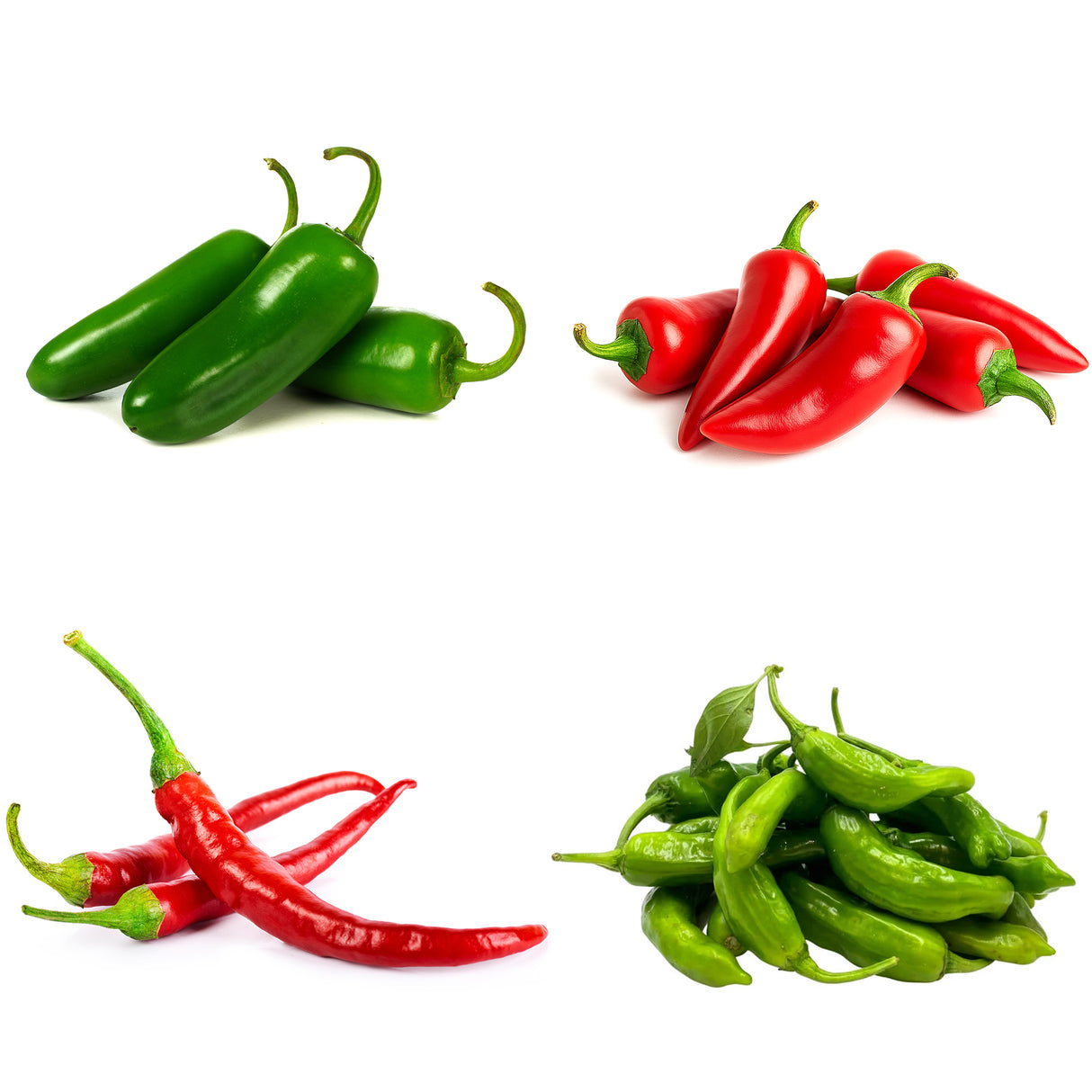 20 Plant Spicy Pepper Bundle 🔥