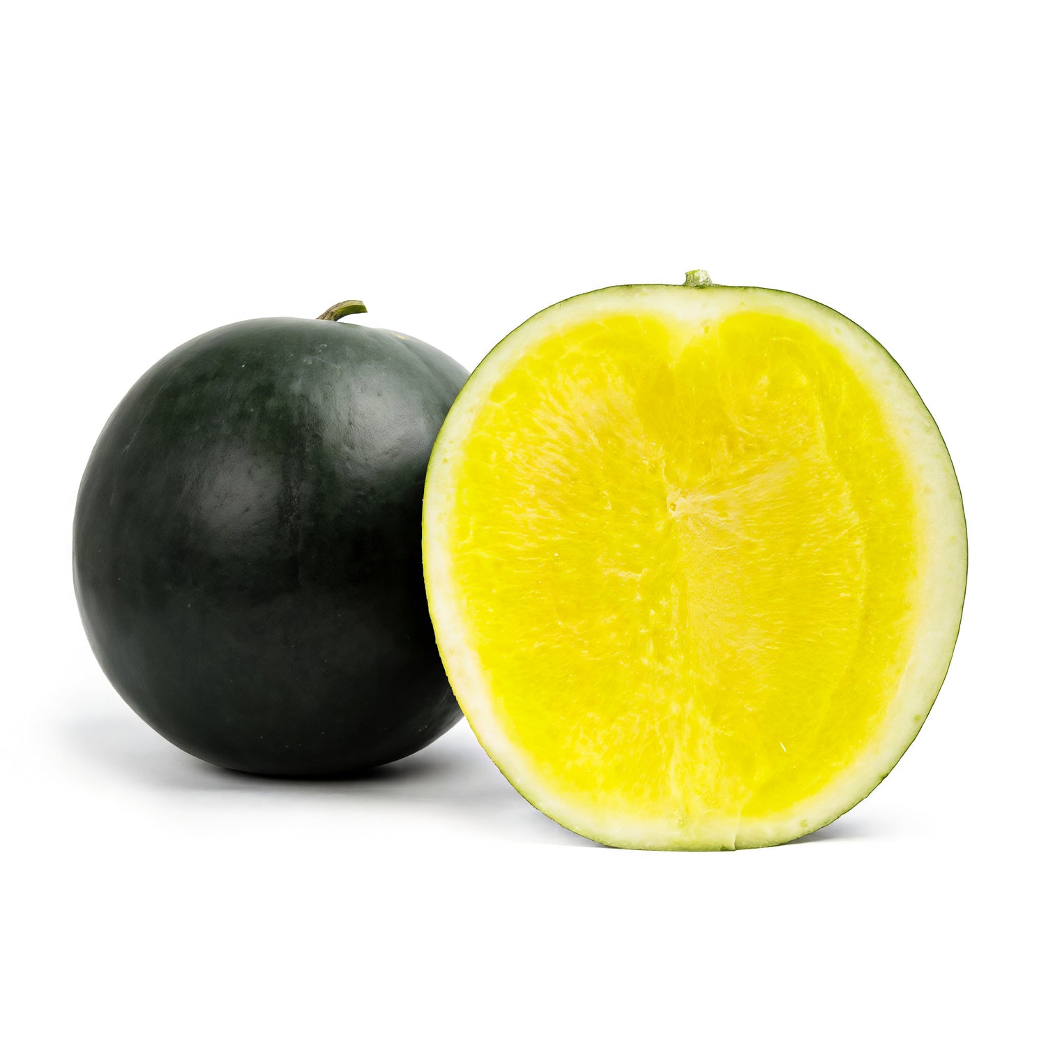 Tropical Sunshine (Seedless) Watermelon Plant + 2 Free Pollinator Plants