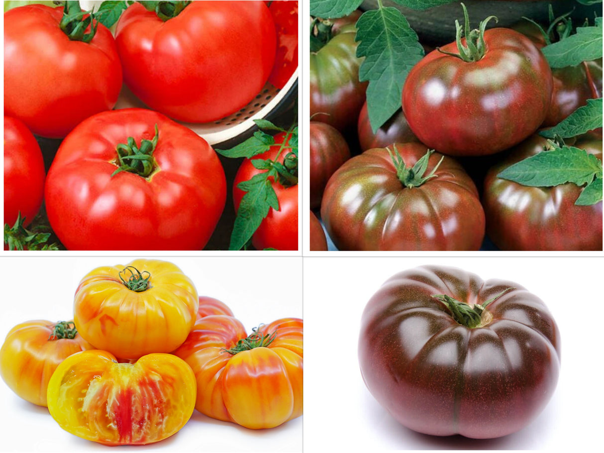 20 Plant Heirloom Hybrid Bundle + 5 Free