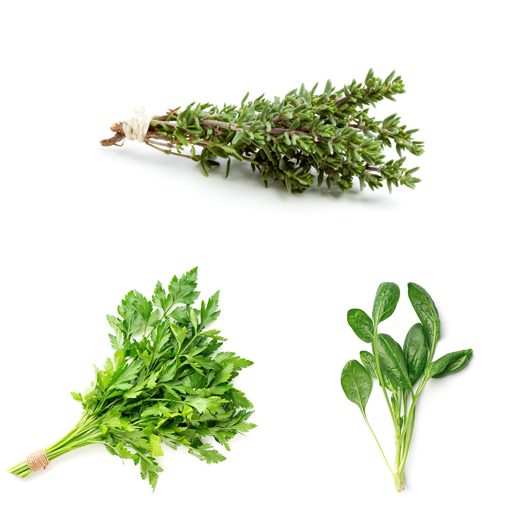 Herb Bundle - Parsley, Thyme, Basil Plants