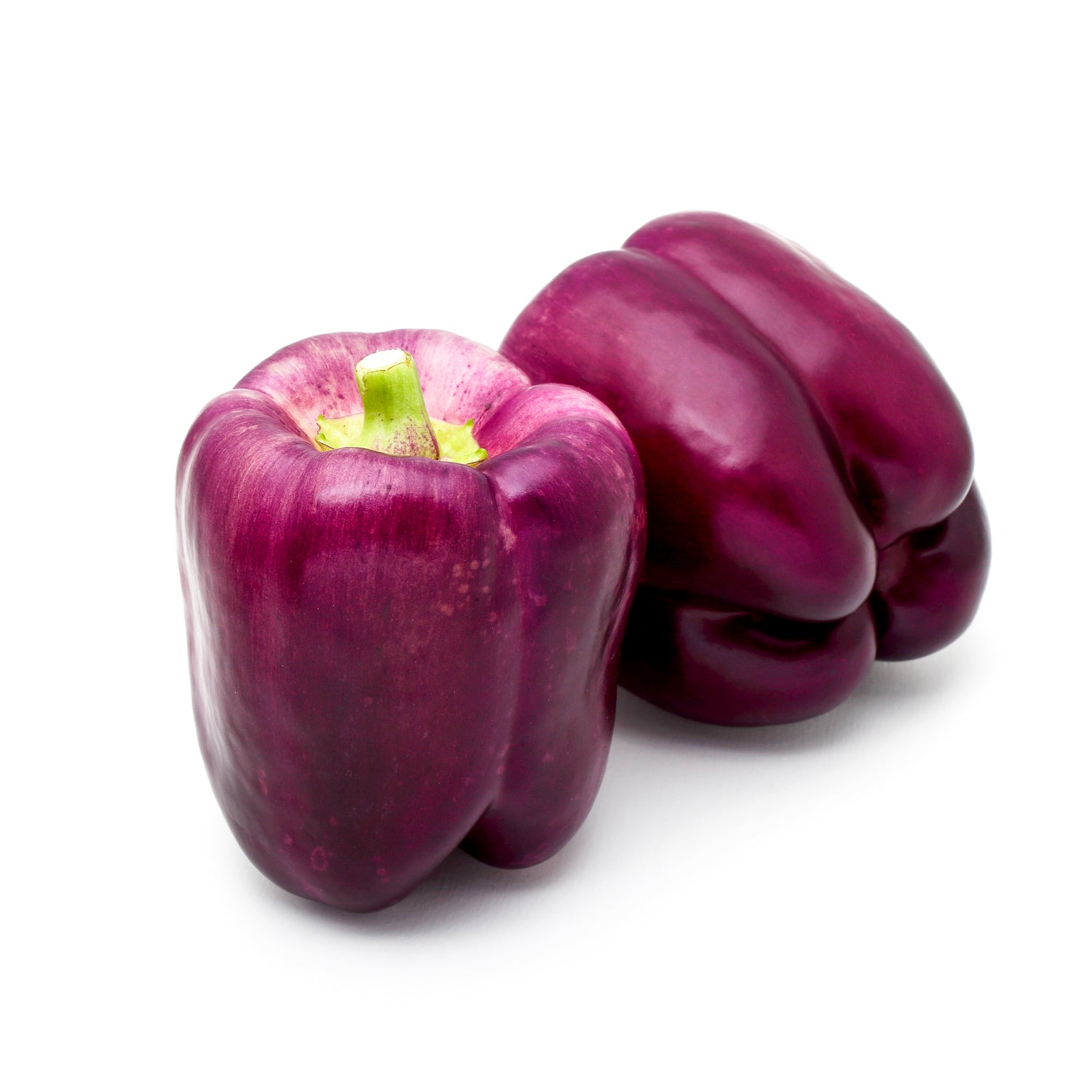 Purple Beauty Pepper Plant