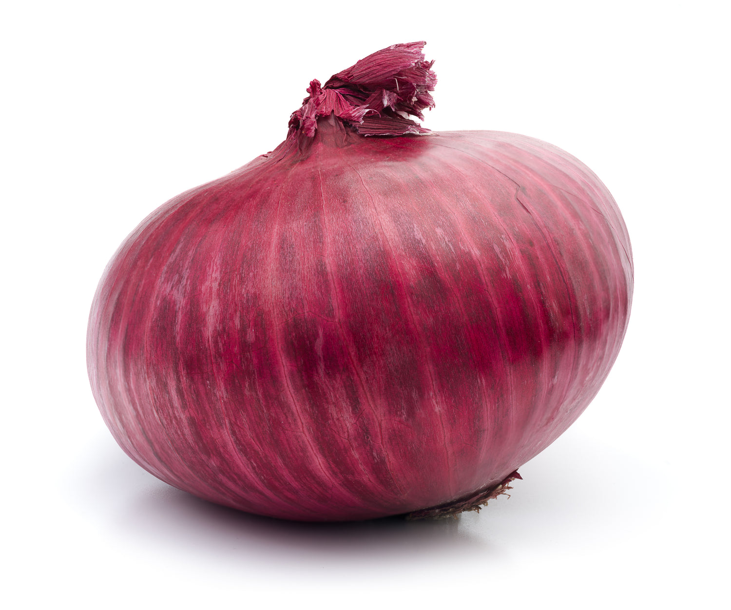 Red Onion (Italian Sweet) Plants