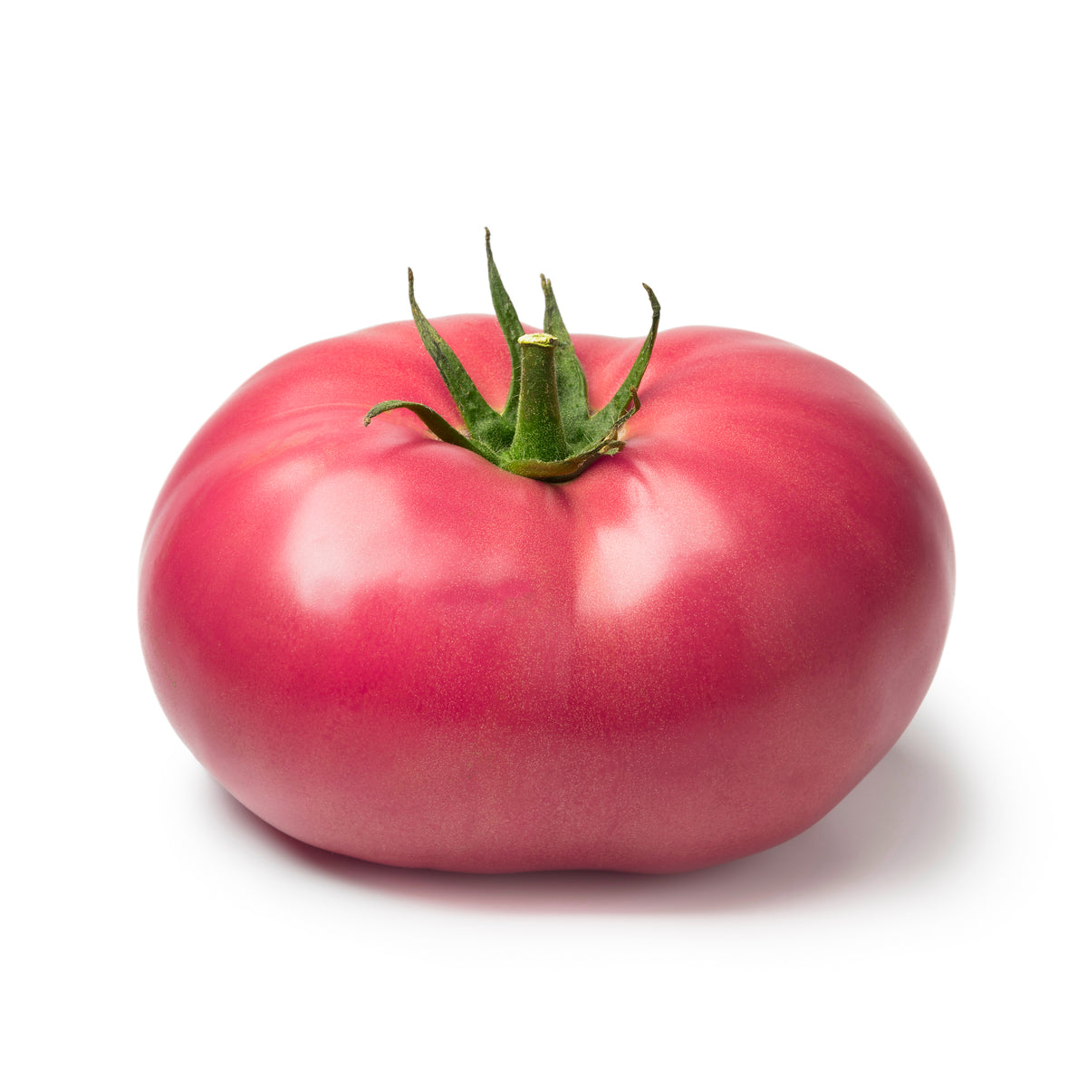 Heirloom Hybrid (Pink) Tomato Plants – Salinas Nursery Garden Plants