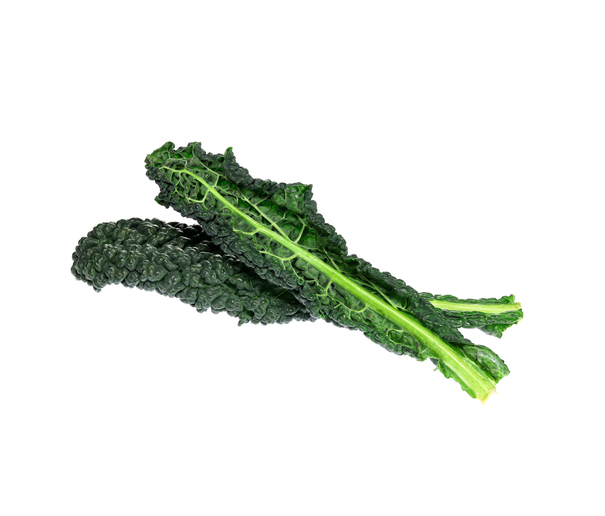 Black Magic Kale Plants