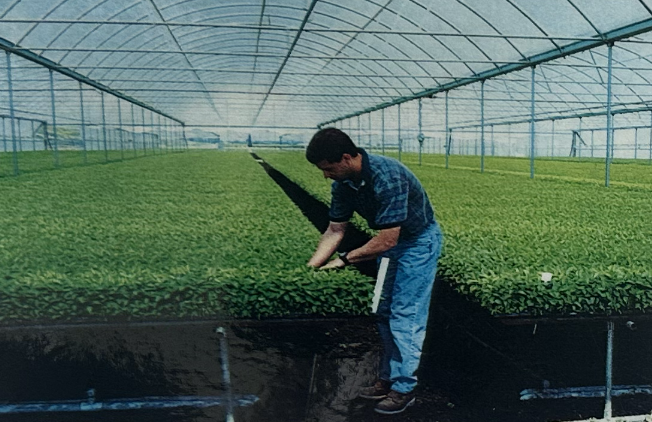 Family Vegetable Farm Makes a Name for Itself