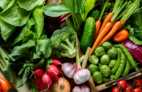 Fall Vegetable Plants