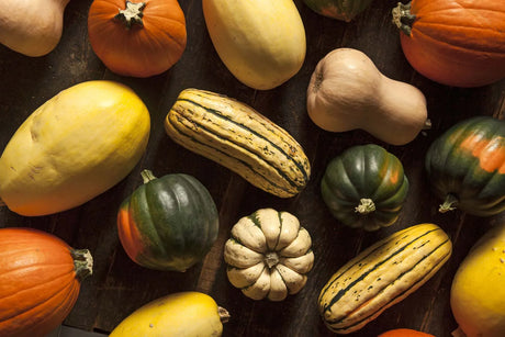 Squash & Cucumbers