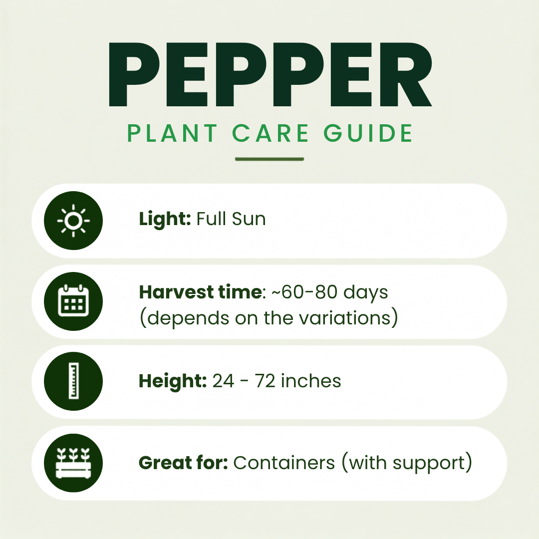 20 Plant Spicy Pepper Bundle 🔥