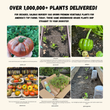 50 Plant Gardener Starter Kit