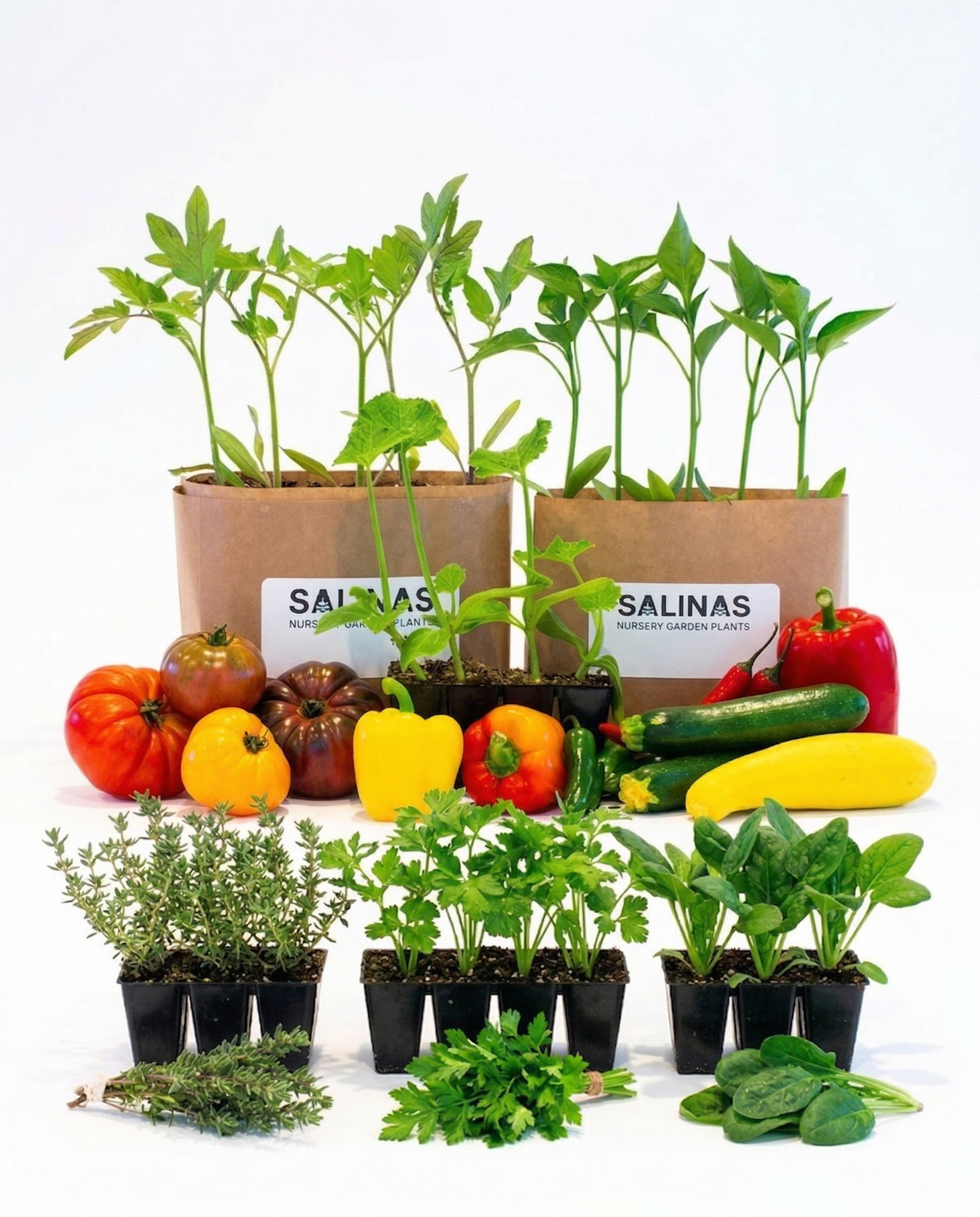 Salinas Nursery:               The Sustainable Garden