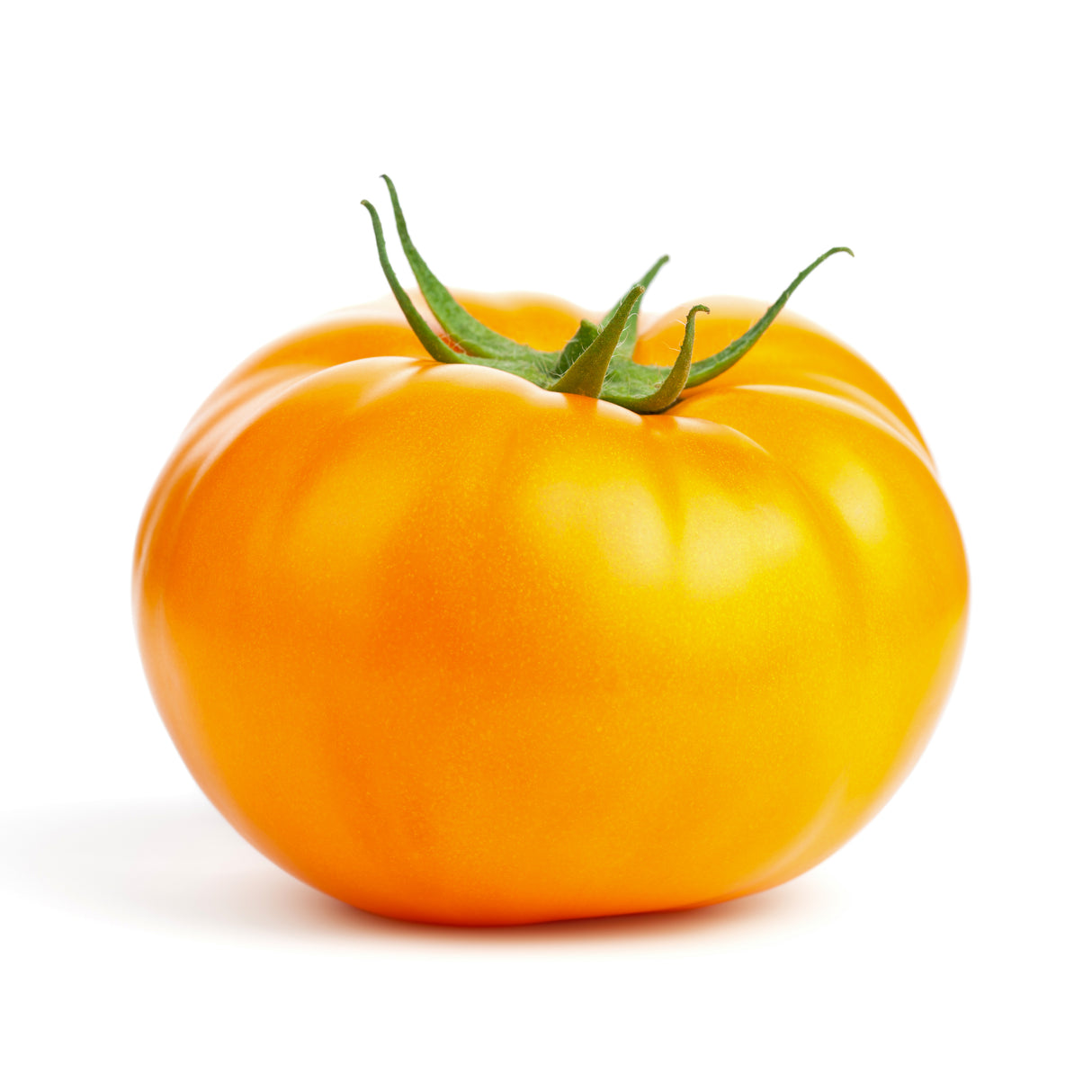 Heirloom Hybrid (Yellow) Tomato Plant