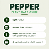 Habanero Pepper Plants