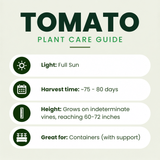 Heirloom Hybrid (Striped) Tomato Plants