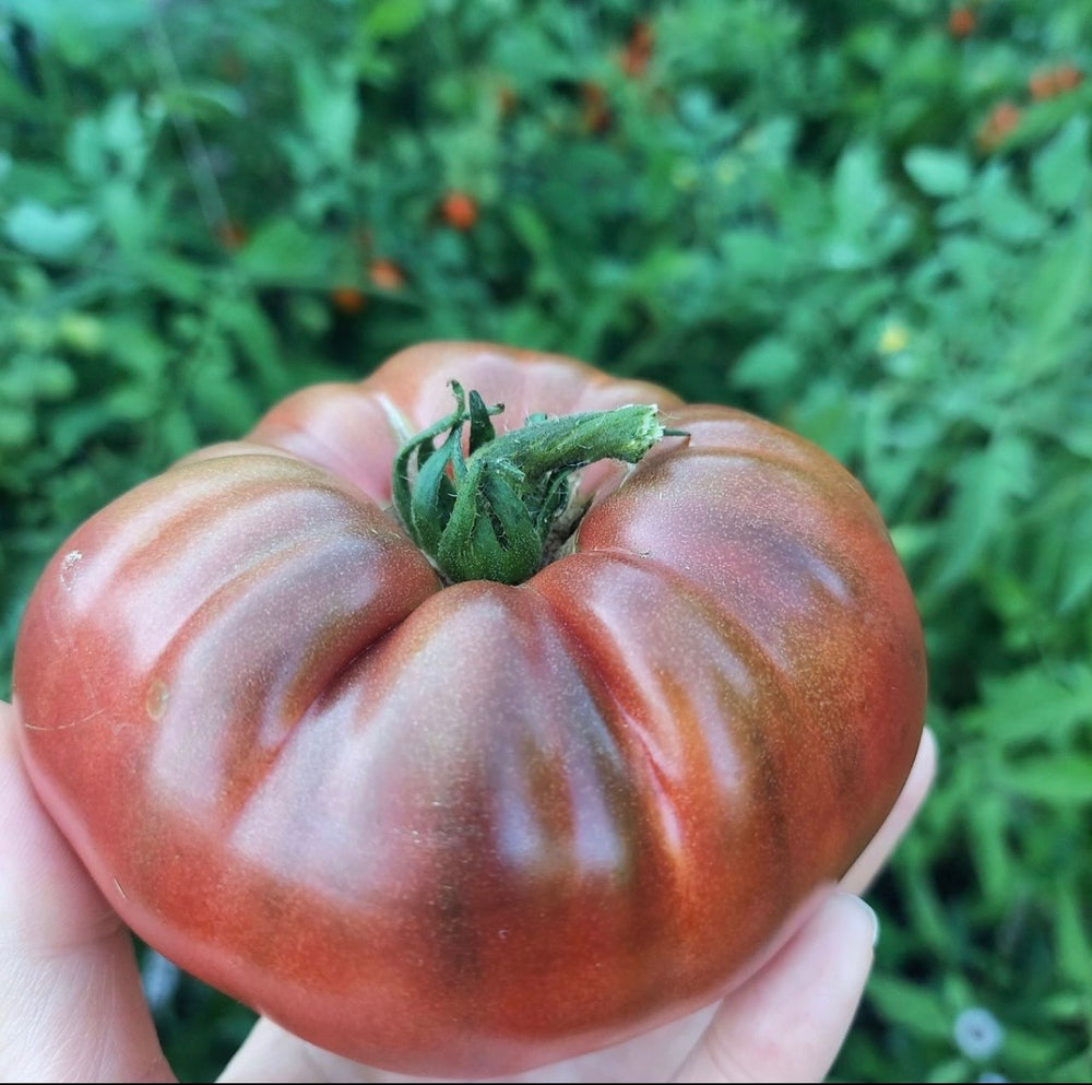 <h2>Grown by Gardeners Like You</h2>