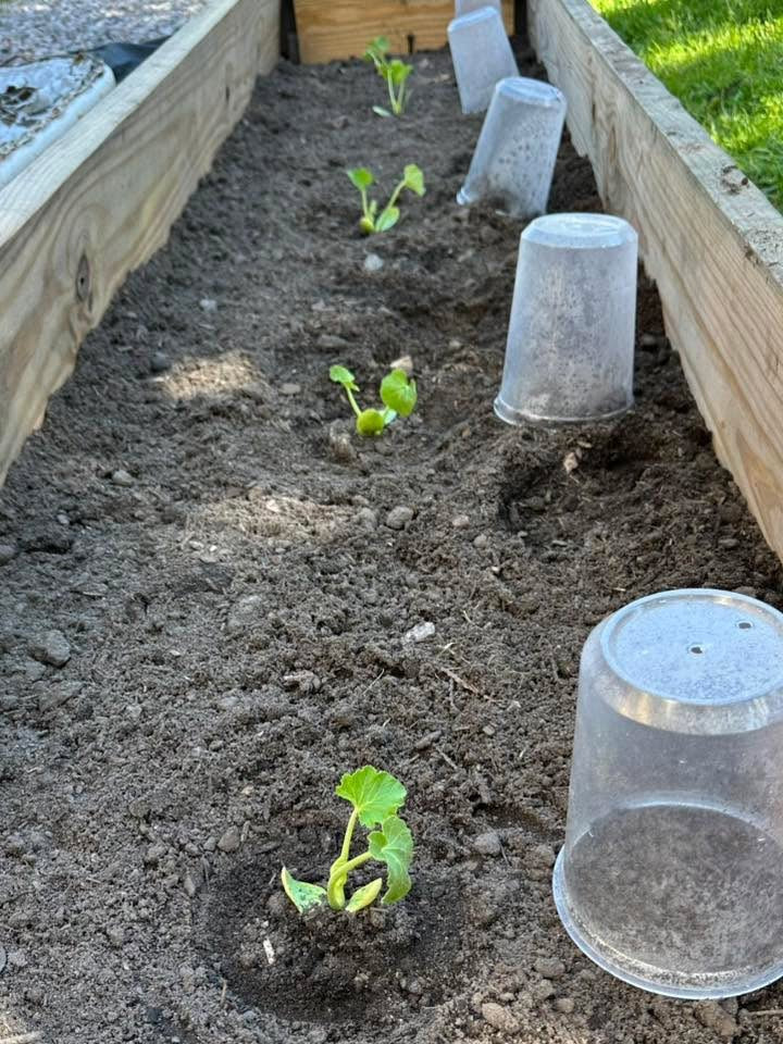 <h2>Grown by Gardeners Like You</h2>