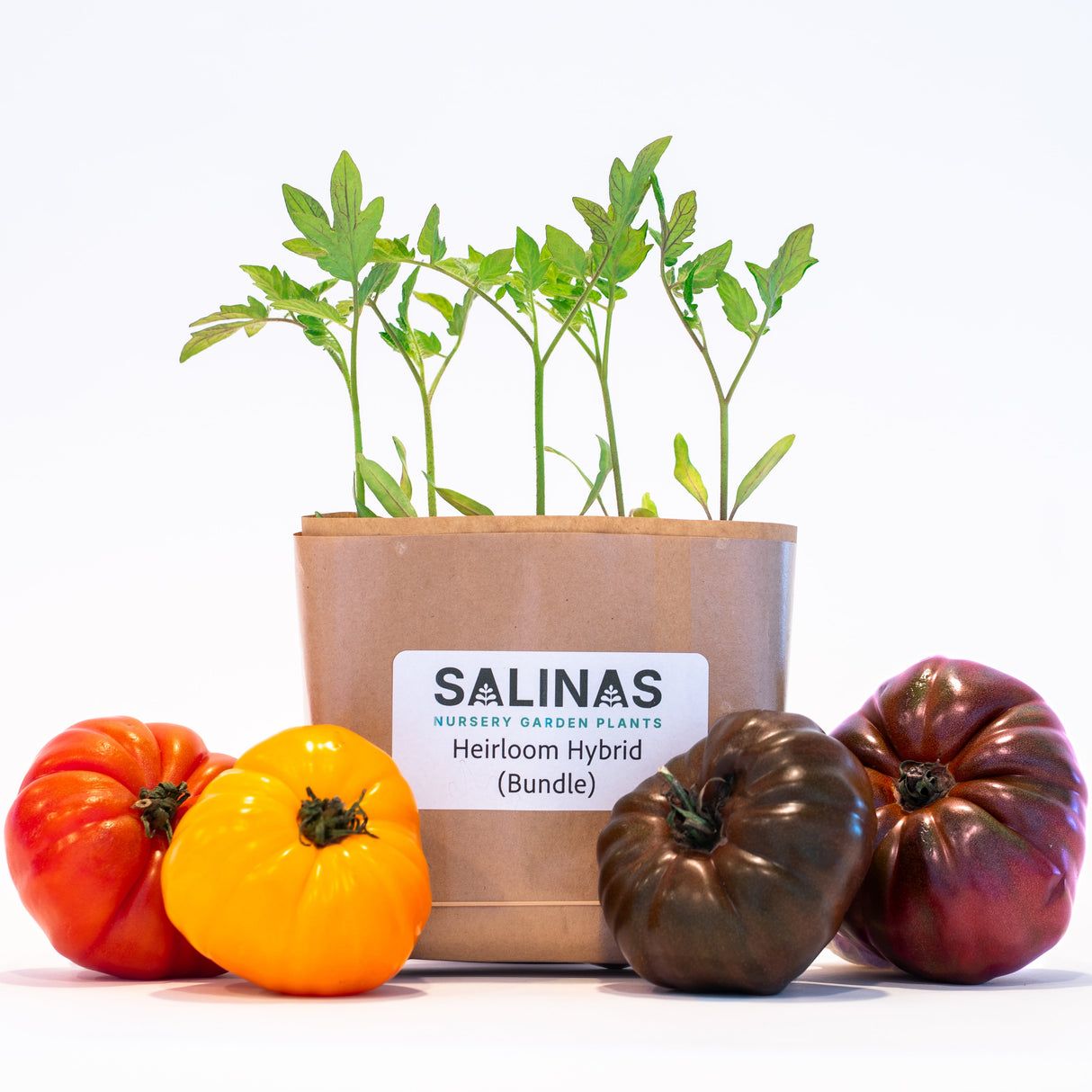 20 Plant Heirloom Hybrid Bundle + 5 Free