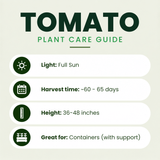 Jolly Girl Grape Tomato Plants