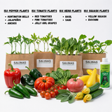 50 Plant Gardener Starter Kit