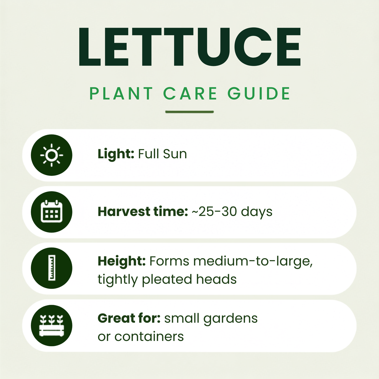 Kiribati Lettuce Plants