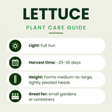 Kiribati Lettuce Plants