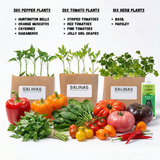 50 Plant Gardener Starter Kit