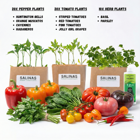 50 Plant Gardener Starter Kit