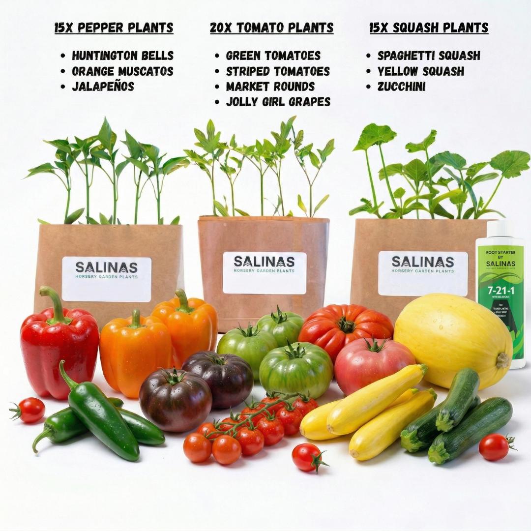 50 Plant Gardener Starter Kit