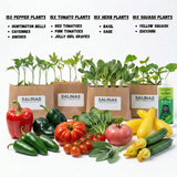 50 Plant Gardener Starter Kit