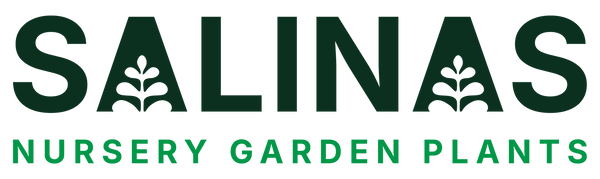 Salinas Nursery Garden Plants
