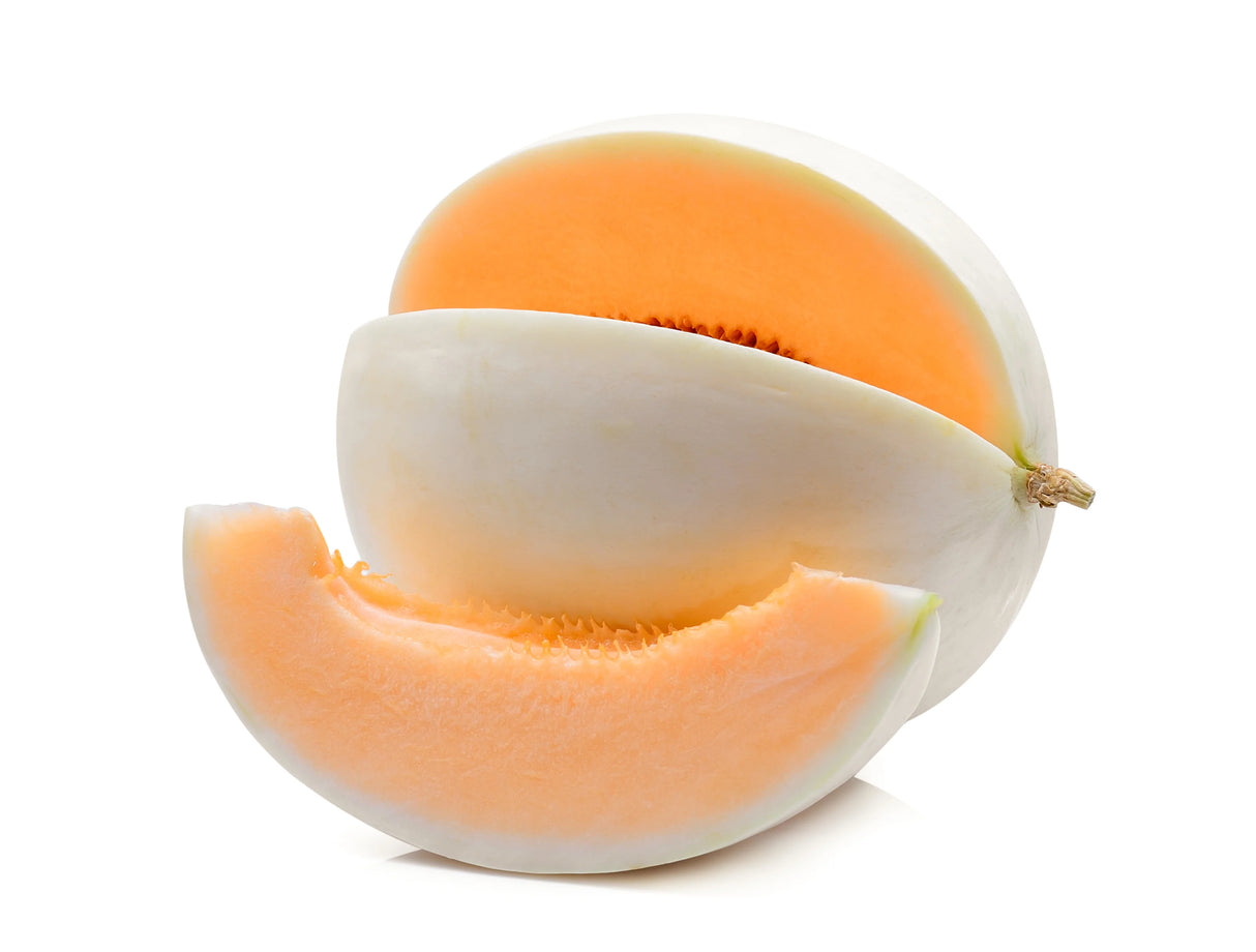 Orange Sugar Melon Plant