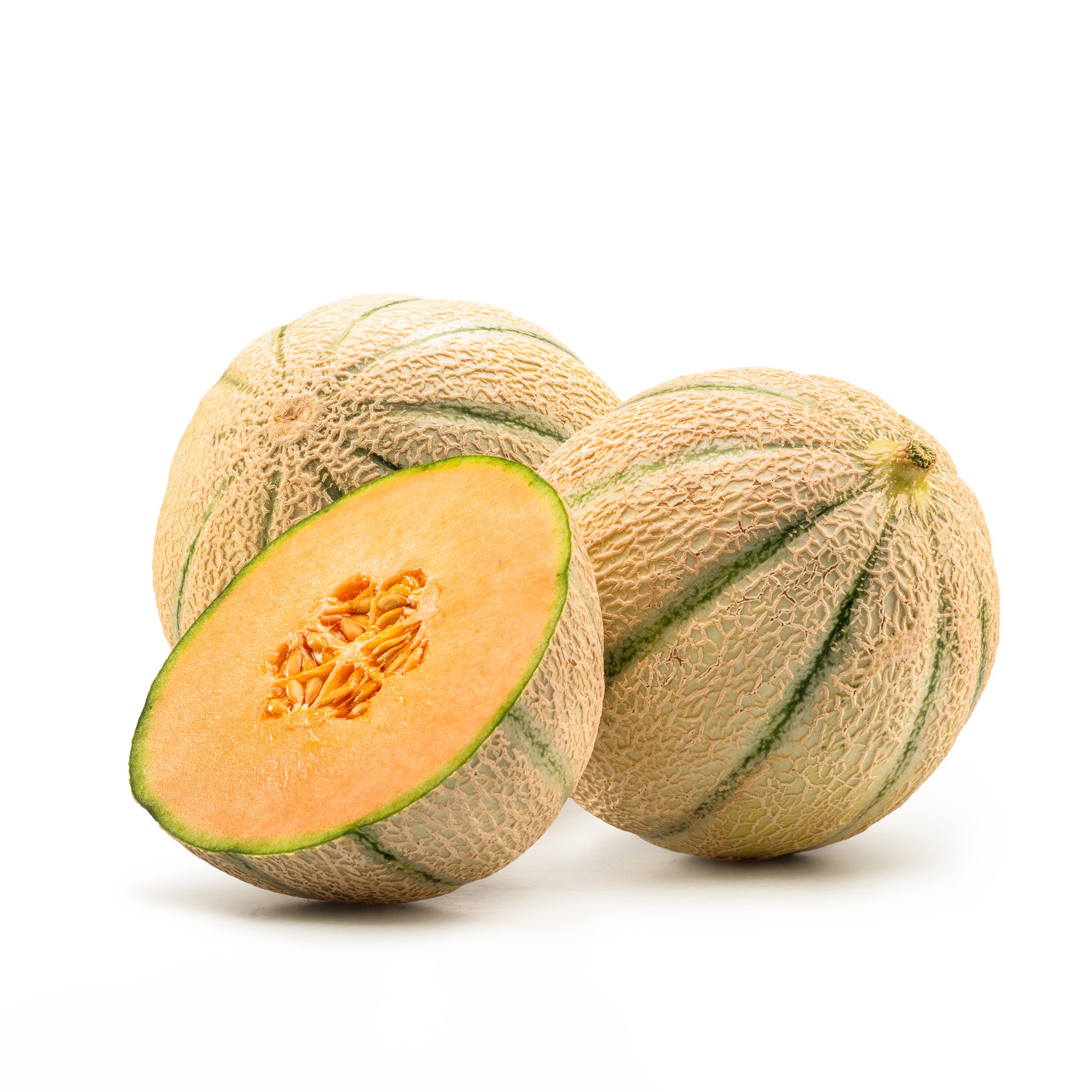 Tuscan Melon Plants – Salinas Nursery Garden Plants