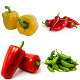 Pepper Patch (Bundle) Pepper Plants