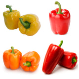 20 Plant Spring Pepper Bundle + 5 Free