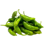 20 Plant Spicy Pepper Bundle 🔥