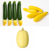 Squash Bundle - Zucchini, Yellow squash, Spaghetti