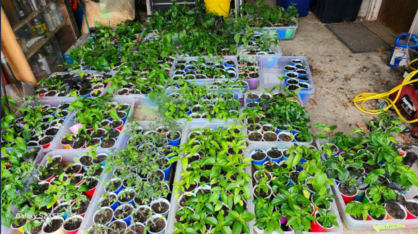 <h2>Grown by Gardeners Like You</h2>